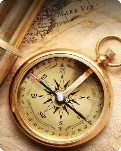 Explore Vaasty Colors